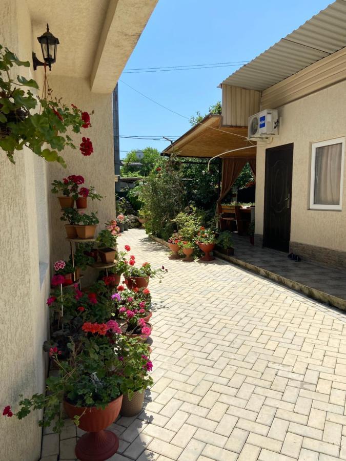 Уютный Дворик Sukhumi Exterior photo